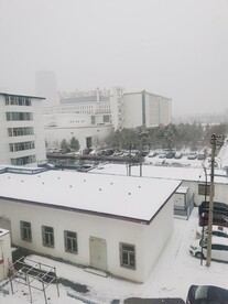雪景