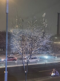 雪景