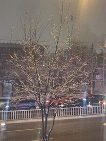 雪景