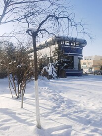 雪景