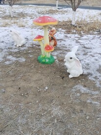 雪景