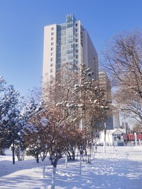 雪景