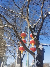 雪景