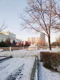 雪景
