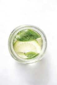 柠檬薄荷水