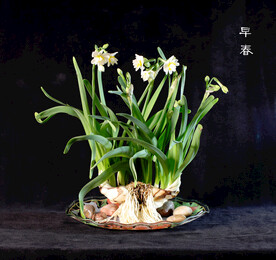 早春