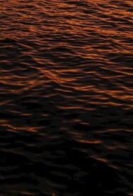 水波纹