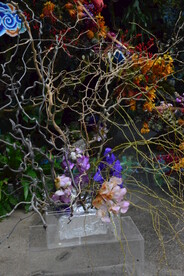 温室花草