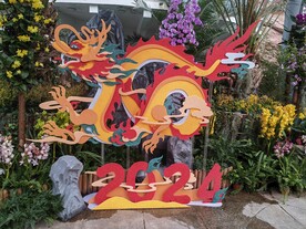 温室花草风景 