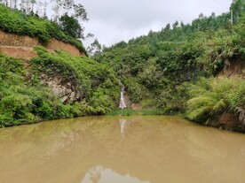 森林风景