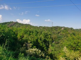 绿色山林 蓝天