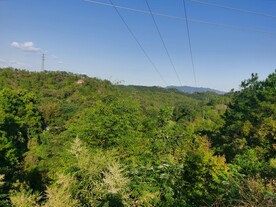 蓝天 自然风光