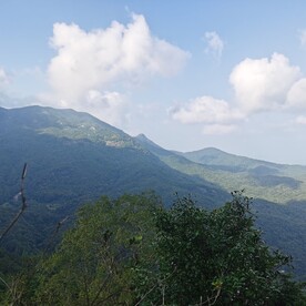 森林 风景
