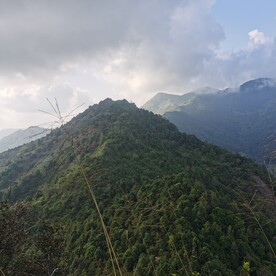 森林风景