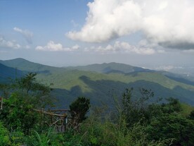 森林风光