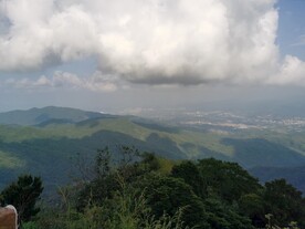 山林  森林