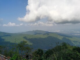 山地风光  绿色山林
