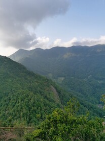 山地风貌 天然山林