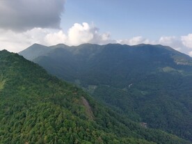 山地森林风光