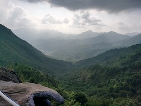 丘陵 原始森林