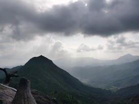 山地 森林 登高