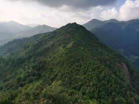 丘陵 森林 