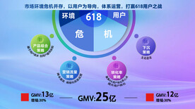 PPT分析