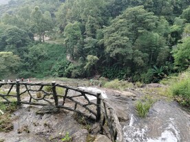 竹林风光 瀑布景色
