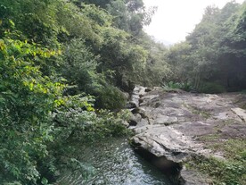 山水风光 森林景色