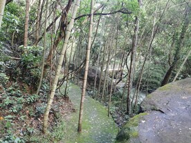 竹林 小路