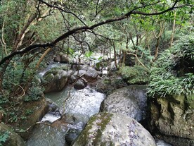 原始山林风景  河流