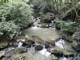 山林  溪流