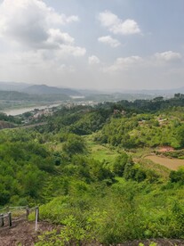 山丘 树林