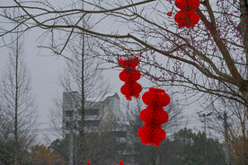 春节灯笼