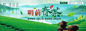 明前春茶