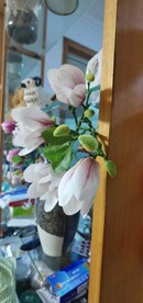 玉兰花