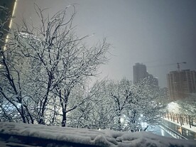 西安雪景图