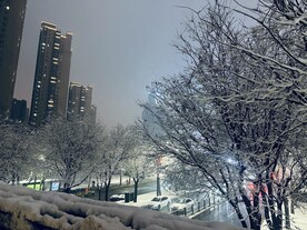 西安雪景图