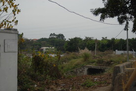 郊野荒地