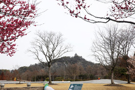 辰山植物园 