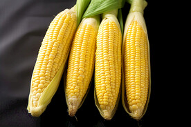 玉米