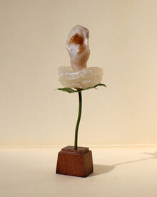 奇石花仙子