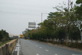 城市道路