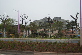 工业园路边
