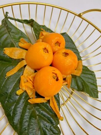 枇杷