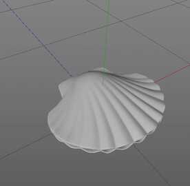 C4D模型 贝壳