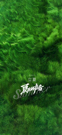 春分立夏海报