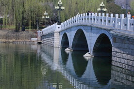 公园风景  