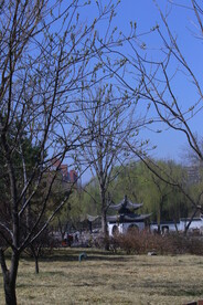公园风景  