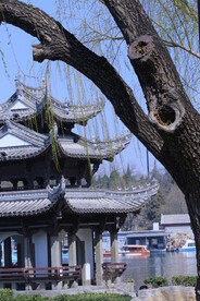 公园风景  